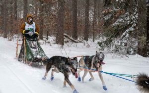 Northern Pines Sled Dog Race, Iron River WI., 2025