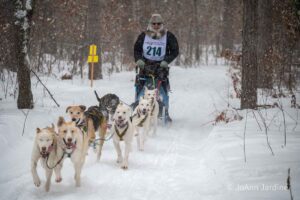 Northern Pines Sled Dog Race, Iron River WI., 2025