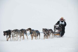 Northern Pines Sled Dog Race, Iron River WI., 2025