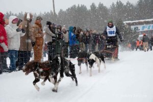 Northern Pines Sled Dog Race, Iron River WI., 2025