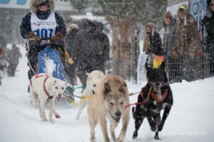 Northern Pines Sled Dog Race, Iron River WI., 2025