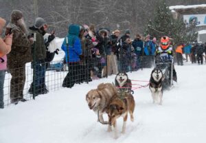 Northern Pines Sled Dog Race, Iron River WI., 2025