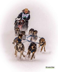 Northern Pines Sled Dog Race, Iron River WI., 2025