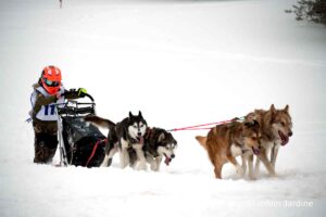 Northern Pines Sled Dog Race, Iron River WI., 2025