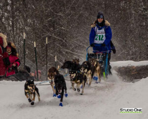 Northern Pines Sled Dog Race, Iron River WI., 2025