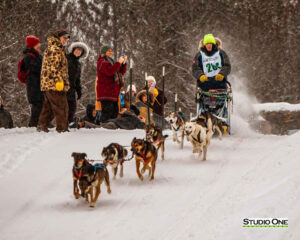 Northern Pines Sled Dog Race, Iron River WI., 2025