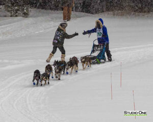 Northern Pines Sled Dog Race, Iron River WI., 2025