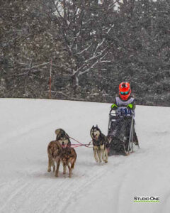 Northern Pines Sled Dog Race, Iron River WI., 2025