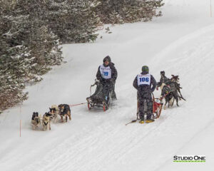 Northern Pines Sled Dog Race, Iron River WI., 2025