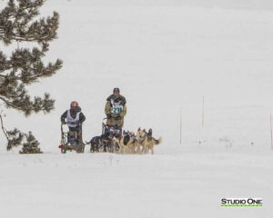 Northern Pines Sled Dog Race, Iron River WI., 2025