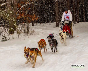 Northern Pines Sled Dog Race, Iron River WI., 2025