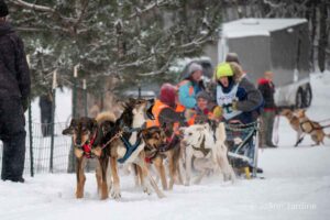 Northern Pines Sled Dog Race, Iron River WI., 2025