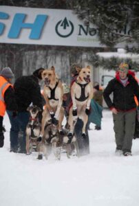 Northern Pines Sled Dog Race, Iron River WI., 2025