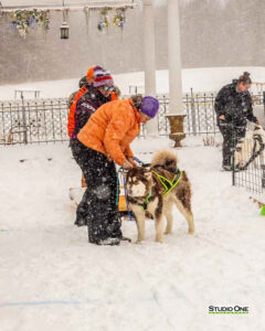 Northern Pines Sled Dog Race, W3PO Sanctioned Weight Pulling, Iron River WI., 2025
