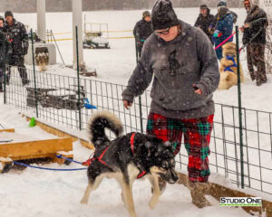 Northern Pines Sled Dog Race, W3PO Sanctioned Weight Pulling, Iron River WI., 2025