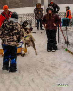 Northern Pines Sled Dog Race, W3PO Sanctioned Weight Pulling, Iron River WI., 2025