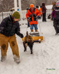 Northern Pines Sled Dog Race, W3PO Sanctioned Weight Pulling, Iron River WI., 2025
