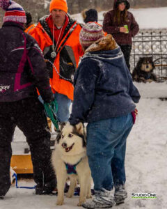 Northern Pines Sled Dog Race, W3PO Sanctioned Weight Pulling, Iron River WI., 2025