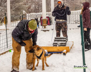 Northern Pines Sled Dog Race, W3PO Sanctioned Weight Pulling, Iron River WI., 2025