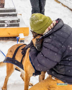 Northern Pines Sled Dog Race, W3PO Sanctioned Weight Pulling, Iron River WI., 2025
