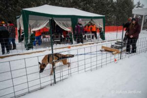 Northern Pines Sled Dog Race, W3PO Sanctioned Weight Pulling, Iron River WI., 2025