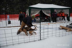 Northern Pines Sled Dog Race, W3PO Sanctioned Weight Pulling, Iron River WI., 2025