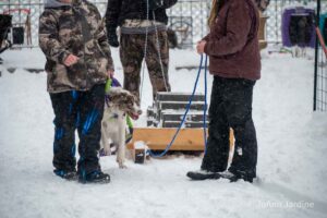 Northern Pines Sled Dog Race, W3PO Sanctioned Weight Pulling, Iron River WI., 2025