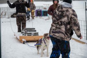 Northern Pines Sled Dog Race, W3PO Sanctioned Weight Pulling, Iron River WI., 2025