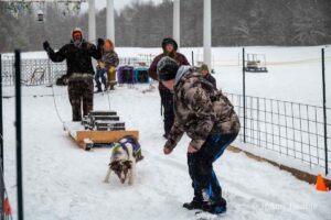 Northern Pines Sled Dog Race, W3PO Sanctioned Weight Pulling, Iron River WI., 2025