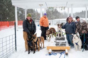 Northern Pines Sled Dog Race, W3PO Sanctioned Weight Pulling, Iron River WI., 2025