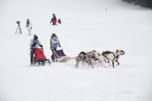 Northern Pines Sled Dog Race, Iron River WI., 2025