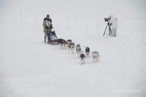 Northern Pines Sled Dog Race, Iron River WI., 2025