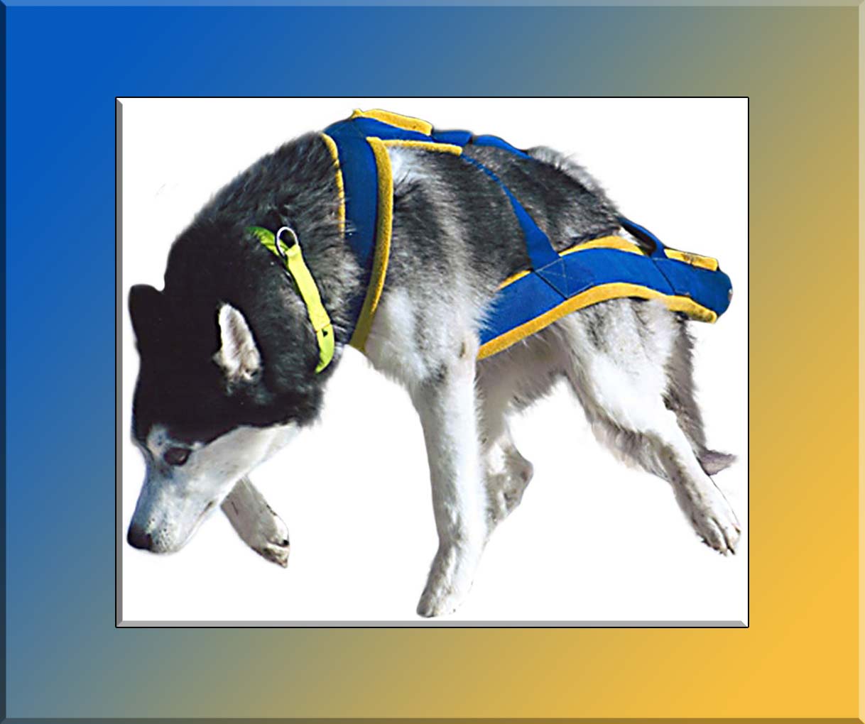 Home Weight Pulling 5 Weight Pull