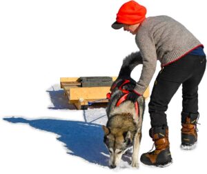 NPSDR - Weight Pull Event