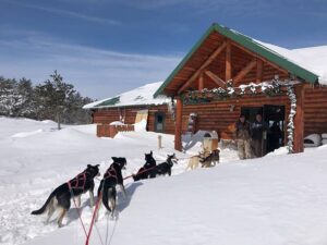 Burge Dog Team at the NPSDR